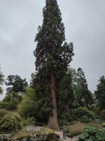 /home//u458753944/public_html/sourcegallery//other/uk 2023/derbyshire/IMG_20230916_121129008_HDR.jpg